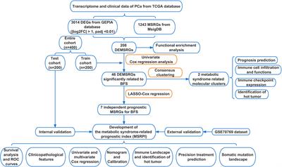 Metabolic syndrome-related prognostic index: Predicting biochemical recurrence and differentiating between cold and hot tumors in prostate cancer